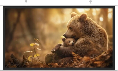Экран для проектора HIPER