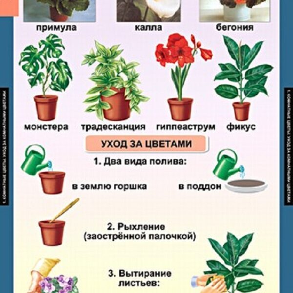 Таблицы демонстрационные "Окружающий мир 1 класс"
