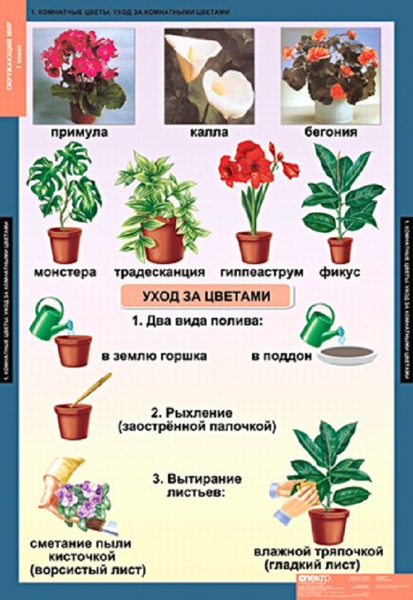 Таблицы демонстрационные "Окружающий мир 1 класс"