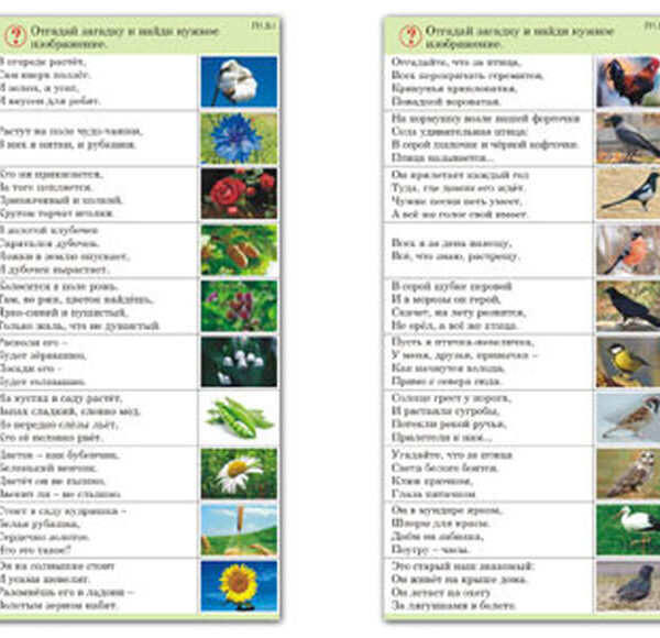 Комплект карточек (10) "Природа"
