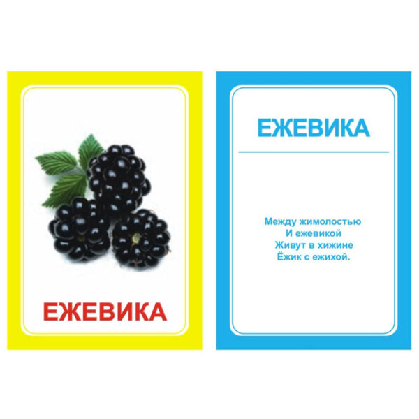 Логопедические картинки для автоматизации звука "Ж" (комплект 30 шт)